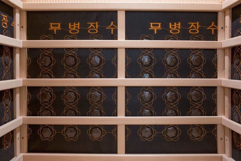 Panel de control de computadora desintoxicación y deshumidificación sala de sauna hogar belleza infrarroja de alta calidad y belleza
