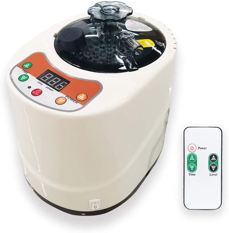 Generador de vapor portátil moderno de 2 litros para sauna, máquina de spa para saunas de vapor domésticas, para desintoxicación corporal y pérdida de peso, enchufe estadounidense y europeo